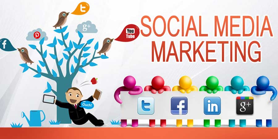 Social Media Marketing Company in Madhapur