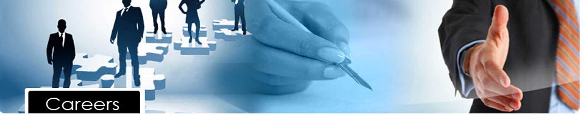 Wed Designing and Digital Marketing Jobs 